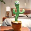 Boneka Pintar Kaktus